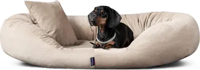 Produktbild von tierlando® Orthopädisches Hundebett Sammy VISCO | High-Tech-Velours | L - XXXXL - Größe: 140x105cm | Farbe: 14 Beige