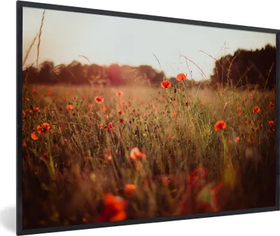 Produktbild von MuchoWow® MuchoWow® Gerahmtes Poster Sonnenuntergang - Blumen - Rot 60x40 cm - Poster mit zchwarzem Bilderrahmen - Printing - Wanddeko Schlafzimmer
