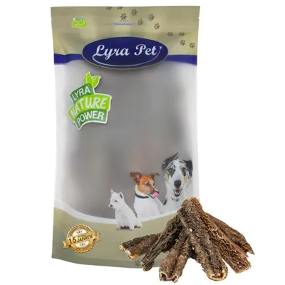 Produktbild von 1 kg Lyra Pet® Rinderpansen groß
