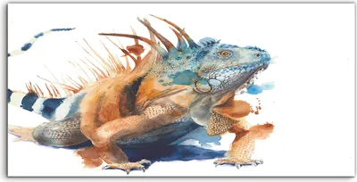Produktbild von Coloray Acrylbild 120x60  Wandbild Acrylbilder Deko Reptilien Tropisch Tieren Leguan