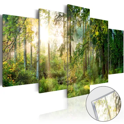 Produktbild von Neuheit! Modernes Acrylglasbild Wanbild c-C-0033-k-n (200x100) - 5 Teilig Bilder Foto Bild Dekoration Wand Bilder Kunstdruck NATUR WALD