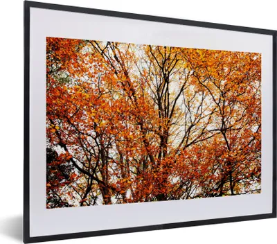 Produktbild von MuchoWow® Gerahmtes Poster Wald - Herbst - Jahreszeiten 40x30 cm - Poster mit Schwarzem Bilderrahmen Wandposter Rahmen Foto Bilder - Bilderrahmen - Poster im Rahmen