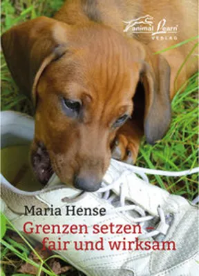 Obrázok produktu pre Grenzen setzen