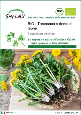 Immagine prodotto di SAFLAX  -- Tarassaco o dente di leone - 400 semi - Taraxacum