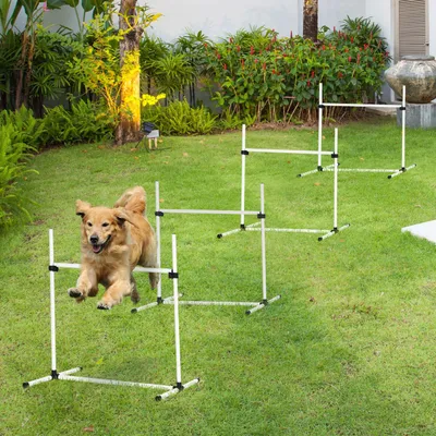 Immagine prodotto di Set di ostacoli per agility - Set da addestramento per cani con 4 ostacoli e pali per slalom in plastica bianca (99x65x94 cm) per un addestramento attivo dei cani