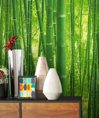 Produktbild von NEWROOM Tapete Grün Papiertapete Bambus - Natur Wald