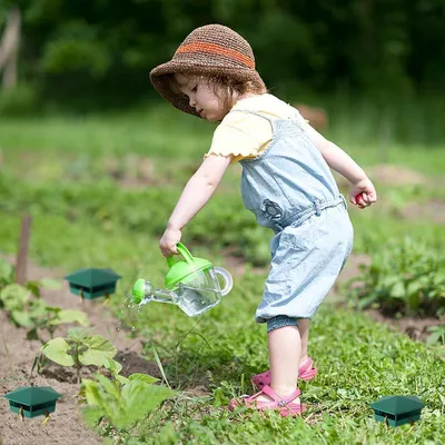 Imagen del producto de Trampa para caracoles, juego de 6 unidades, reutilizable, ecológica, para el jardín