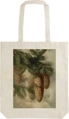 Produktbild von Baumwollbeutel STBAG 56 Tannenzapfen