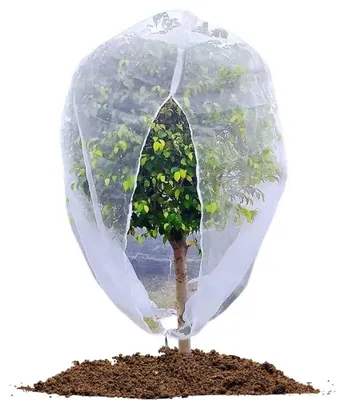 Image de Filet de protection pour arbres fruitiers, avec fermeture éclair et cordon de serrage, dimensions : 2 m x 2,44 m