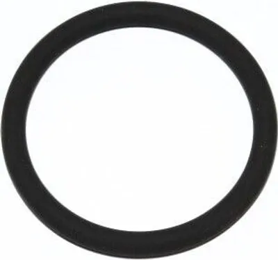 Produktbild von ELRING Dichtring 165.520 für OPEL Corsa D Schrägheck (S07) 4mm FPM (Fluor-Kautschuk) 37,5mm 45,5mm