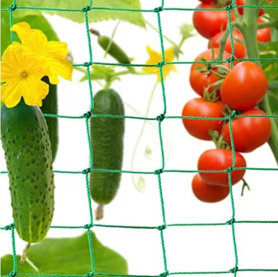 Produktbild von Ranknetz Kletterpflanzen Gartennetz Netz für Gurken Tomaten und Anderen Vogelschutznetz Gemüsepflanzen Rankhilfen Netz für Kletterpflanzen