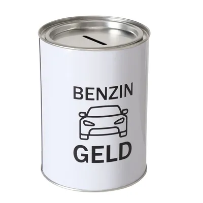 Obrázek produktu pro Pokladnička na peníze 14 x 10 cm