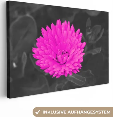 Produktbild von OneMillionCanvasses® - Leinwandbilder - 150x100 cm, Blumen - Aquarell - Rosa, Wandbilder Kunstdruck Wanddekoration