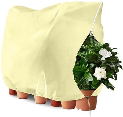 Immagine prodotto di Protezione invernale per piante: copertura antigelo 200 x 240 cm, 60 g/m², con cerniera e cordino di fissaggio; protezione invernale per palme, alberi e piante da balcone