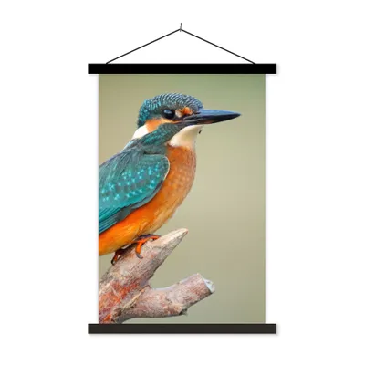 Produktbild von MuchoWow® Textilposter Vogel - Eisvogel - Zweig 120x180 cm mit schwarzem Rahmen - Fotos