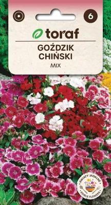 Zdjęcie produktu dla Gożdzik chiński MIX mieszanka Nasiona kwiatów - 513 Toraf