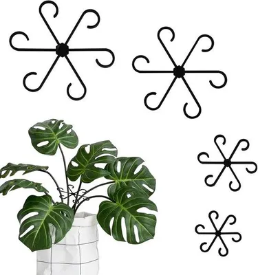 Image de Support pour plantes et anneau de soutien - 16 pièces - Noir