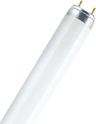 Produktbild von Leuchtstofflampe Röhre T8 1200mm 36W/865 G13 2500lm Tageslicht 6500K