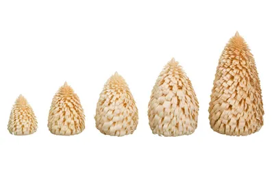 Produktbild von Ringelbaum Winterfichte natur Holzbaum H= 6cm NEU