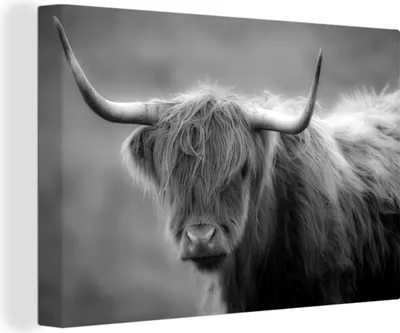 Obrázek produktu pro OneMillionCanvasses® - Plátno - Skotský horal u hory - černobílé, nástěnná malba, nástěnné dekorace obrazy obývací pokoj, 90x60cm