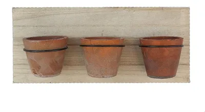 Immagine prodotto di HBx scaffale naturale in legno per piante con 3 vasi
