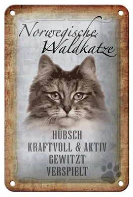 Produktbild von Blechschild Spruch 12x18cm norvegische Waldkatze Katze Wanddeko