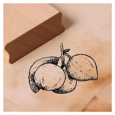 Produktbild von Zitronenstempel - Motivstempel ca. 48 x 38 mm