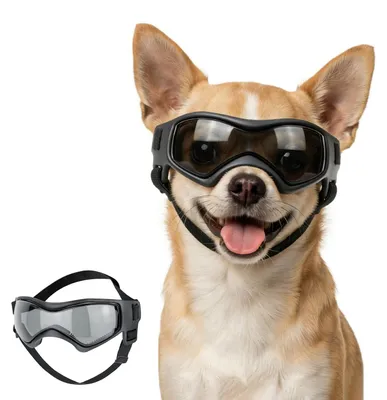 Produktbild von Sonnenbrille für Hunde, speziell für sehr kleine Hunderassen, mit UV-Schutz