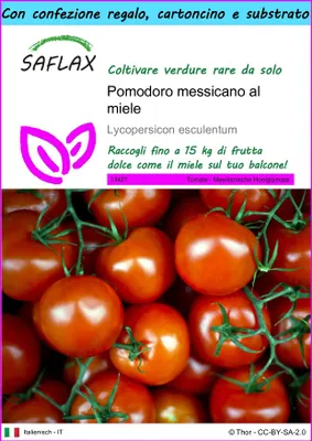 Immagine prodotto di SAFLAX Set regalo - Pomodoro messicano al miele - 10 semi - Lycopersicon