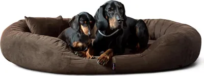 Produktbild von tierlando® Orthopädisches Hundebett Sammy VISCO | High-Tech-Velours | L - XXXXL - Größe: 170x110cm | Farbe: 01 Braun