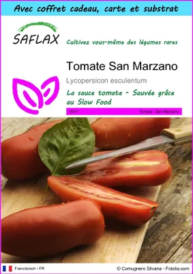 Image de SAFLAX Ensemble-cadeau - Tomate San Marzano - 10 graines - Lycopersicon