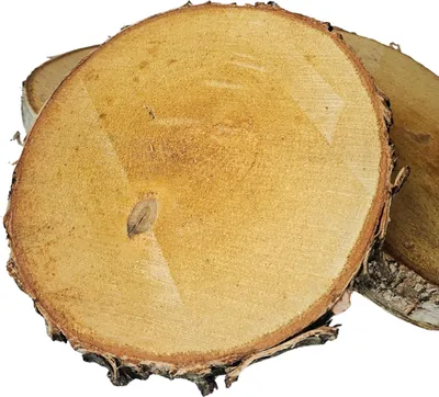 Produktbild von Holzscheibe 20-25 cm Birke ungeschliffen, 5er-Set