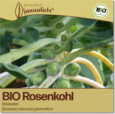 Produktbild von Rosenkohl Samen Brüsseler Gemüse-Samen Saatgut Rosenkohlsamen