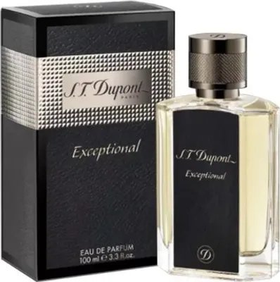 Obrázek produktu pro S.T. Dupont Exceptional parfémovaná voda pro muže 100 ml