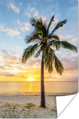 Produktbild von MuchoWow® Poster Strand - Palme - Sonnenuntergang 20x30 cm - Papierdruck