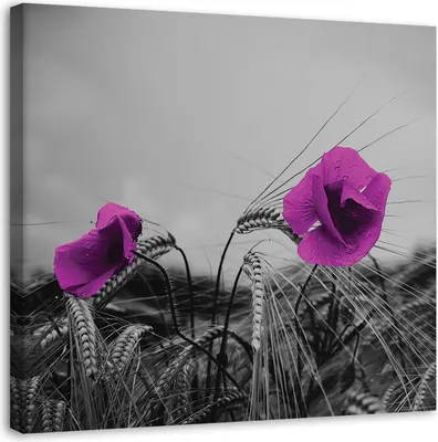 Produktbild von Leinwandbild lila mohnblumen und getreide 60x60 cm Feeby lila wandbild bereit zum aufhängen