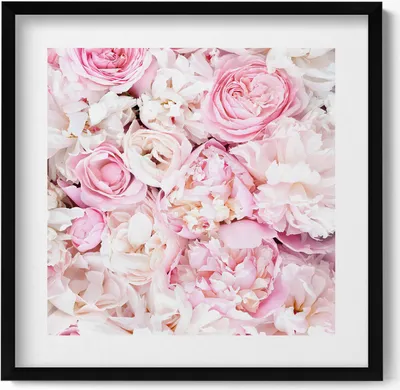 Produktbild von Dekorative Blumen– Wandbild mit Rahmen – Gerahmtes Bild  – Wanddekoration – 50x50 cm –  Schwarz Rahmen