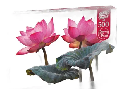 Zdjęcie produktu dla Puzzle 500 CherryPazzi Pink Lotus Flowers 20012
