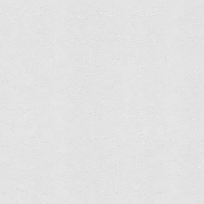Produktbild von A.S. Création Vliestapete Meistervlies Pro Protect 2, weiss, überstreichbar, 25,00 m x 1,06 m, 573414, 5734-14