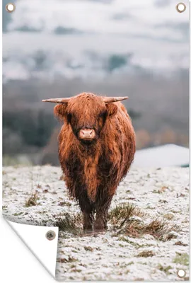 Produktbild von MuchoWow® 40x60 cm Outdoor-Poster Gartendeko Sichtschutz Garten Poster für den Garten  Schottischer Highlander - Schnee - Berg