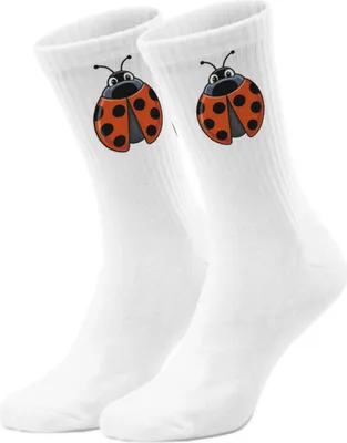 Produktbild von epicsocks LuckySteps Glücksbringer Marienkäfer Socken in 37-41 im Paar