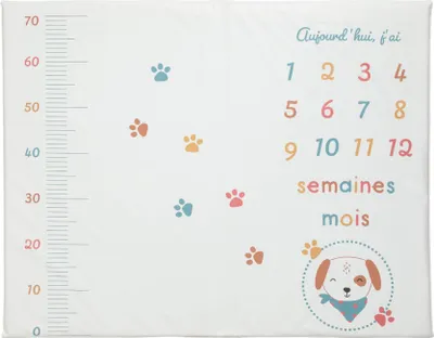 Image de BABYCALIN - Tapis de jeu bébé Anniversaire Toutou Party - 72.5 x 92 x 2.5 cm