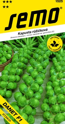 Obrázok produktu pre Kel ružičkový Danet F1 SEMO 1525