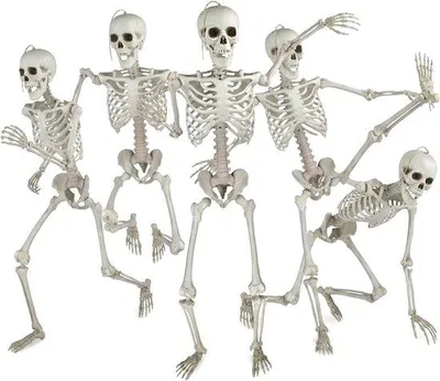 Zdjęcie produktu dla Dekoracje na Halloween: szkielety, 41 cm - realistyczne - zestaw 5 sztuk - do użytku wewnątrz i na zewnątrz