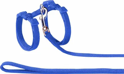 Immagine prodotto di Set di gatti Nobby in nylon blu