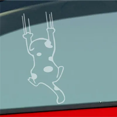 Produktbild von Auto Aufkleber Katze Cat Animal Tier Tuning Kratzen 6x12 cm Milchglas Sticker Heckscheibenaufkleber
