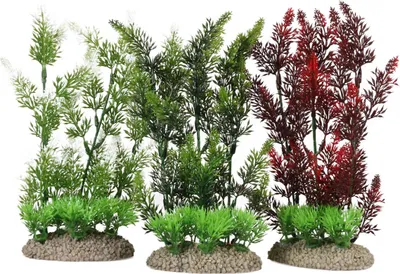 Produktbild von Aqua Della Aquariumpflanze Wasserpest, Maße: 25 cm