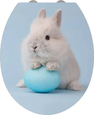 Produktbild von Allibert BUNNY WC-Sitz Thermodur 38 x 6 x 43,5 cm Nachbildung