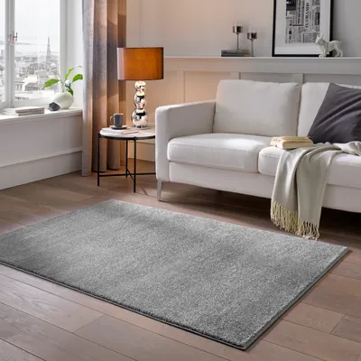 Produktbild von Kurzflor Teppich Designer I Flauschiger Flachflor fürs Wohnzimmer, Esszimmer, Schlafzimmer oder Kinderzimmer |  Grau