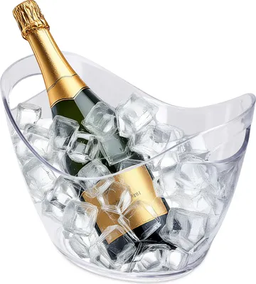 Immagine prodotto di 1.09 Raffreddatore per champagne in plastica con 2 manici - 26,5 x 20 cm - altezza 19 cm (modello piccolo)